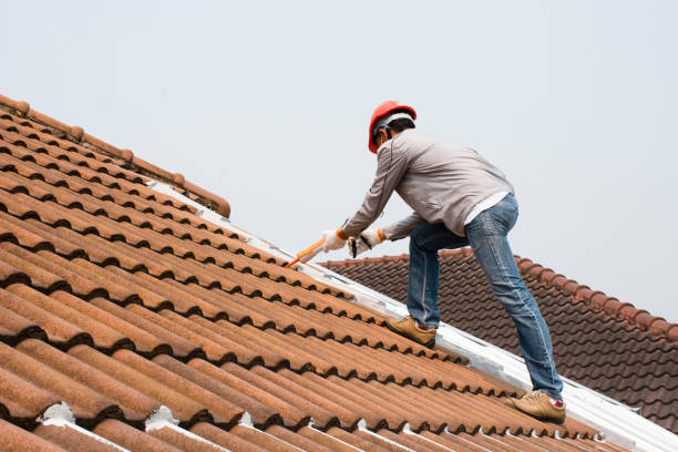 Best Solar Panel Roofing Installation  in De Soto, IA