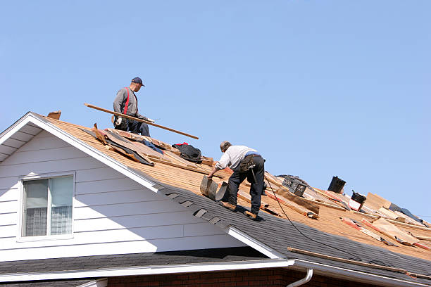Best Flat Roofing  in De Soto, IA